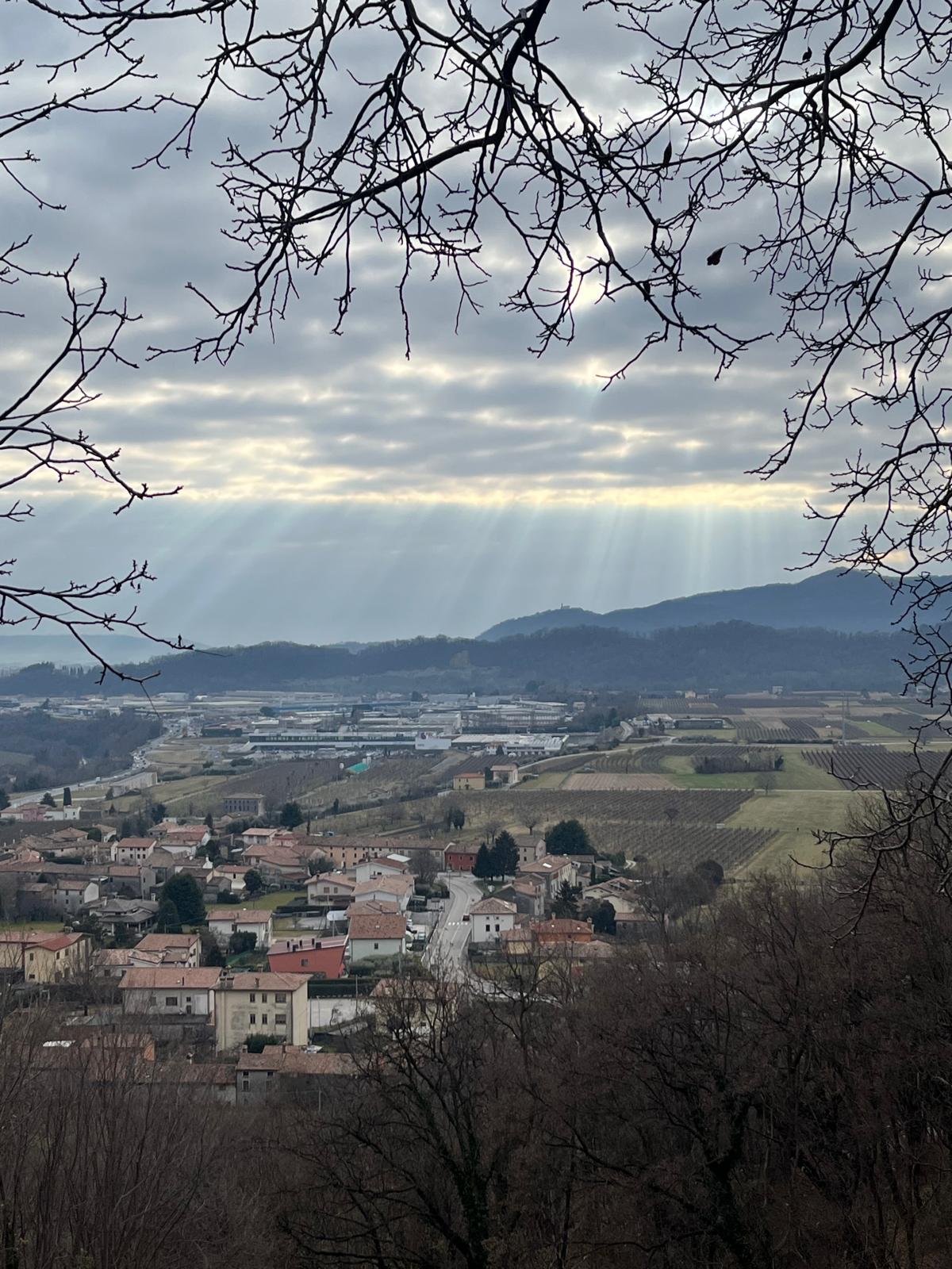 Immagine galleria 31